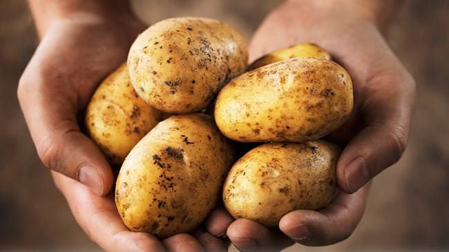 Patatesin kilosu 25 TL'ye yükseldi