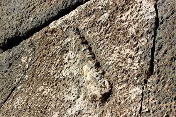 ''Herkül''ün mezarı Adıyaman'da mı bulundu ?