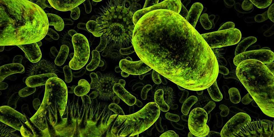 OECD'den antibiyotiklere dirençli bakteri uyarısı (Türkiye riskli ül