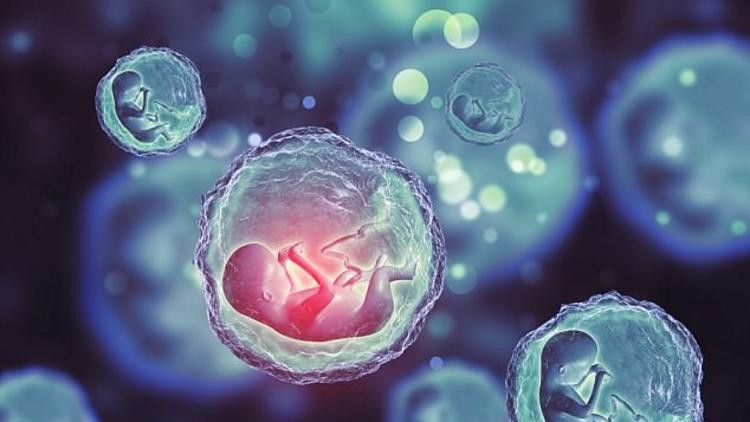 Sperm bağışına ve özendirenlere hapis cezası