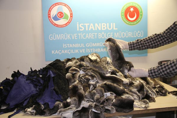 Atatürk Havalimanı'nda ''Çinçila'' alarmı