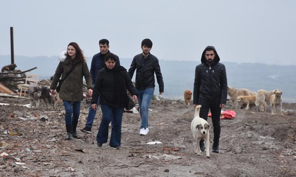 500 köpek ortadan kayboldu !