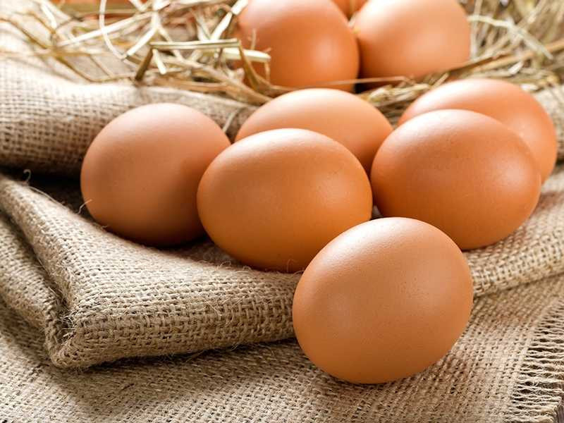 Yumurta kabuğunun mucizevi faydaları