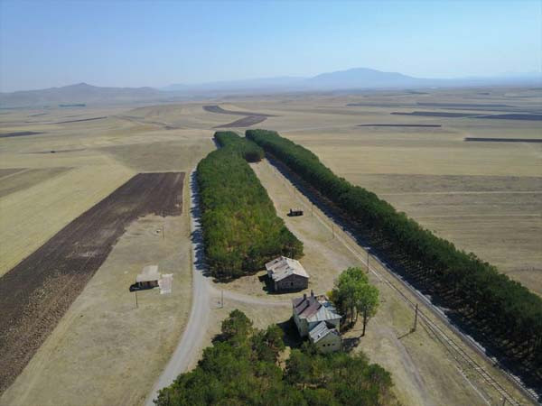 Türkiye'de çekilen bu fotoğraf sosyal medyada rekor kırdı !