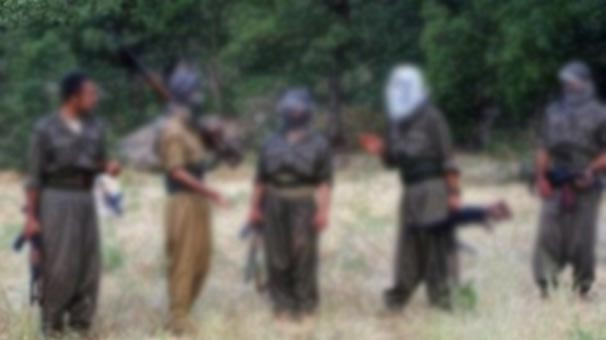 CIA'den PKK/PYD itirafı