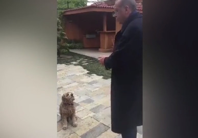 Damadı paylaştı ! Erdoğan soğuk olduğunu farkedince...