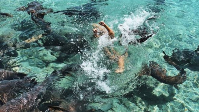 Tatilde dehşet ! Güzel modele köpekbalığı saldırısı kamerada