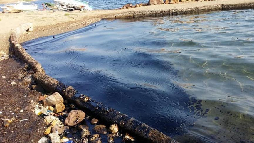 Foça sahili petrolle kaplandı - Resim: 1