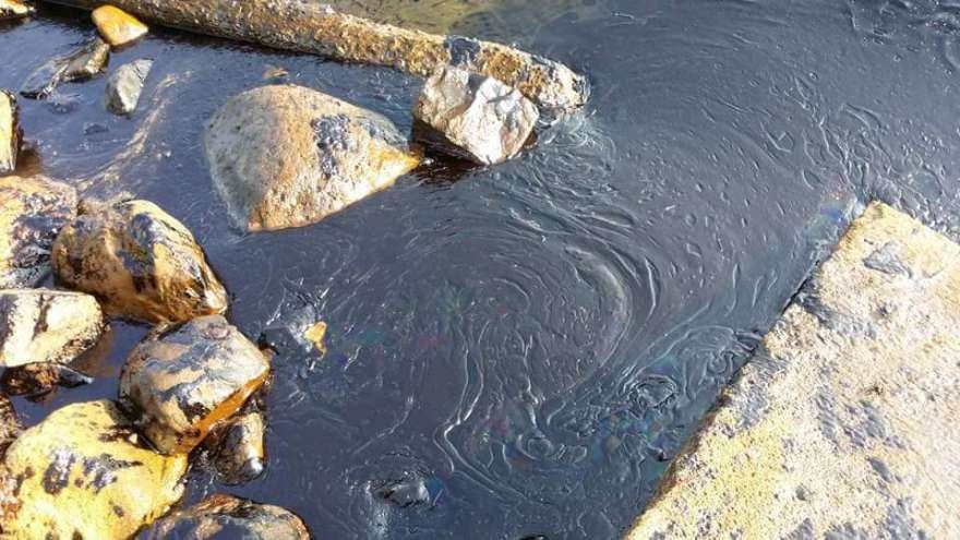 Foça sahili petrolle kaplandı - Resim: 2