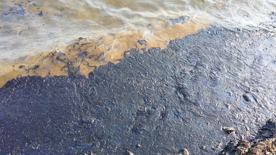 Foça sahili petrolle kaplandı - Resim: 4