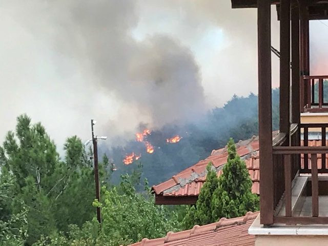 Patlayan elektrik trafosu ormanı yaktı