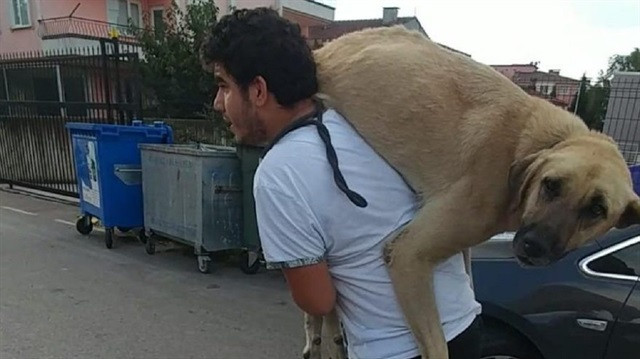 Hasta köpeği tedavi ettirmek için sırtında taşıdı