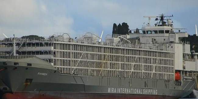 İstanbul açıklarındaki gizemli gemi demir aldı