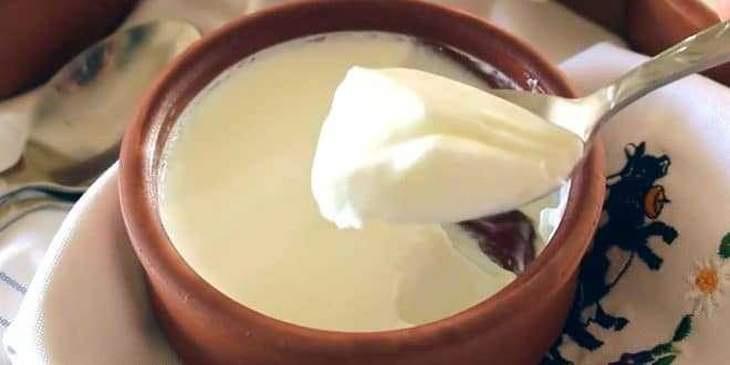 Her gün 2 fincan yoğurt tüketmenin inanılmaz faydaları