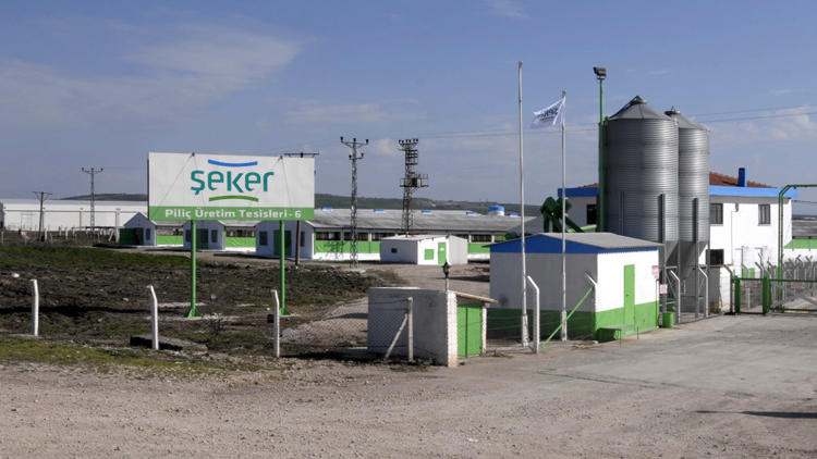 Şeker Piliç'in sahiplerine FETÖ gözaltısı !
