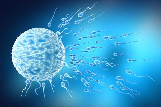 Kadınlar sperm bağışçılarına para ödüyor