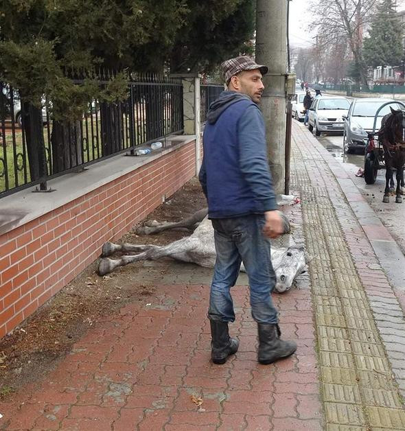 Yürek sızlatan görüntü... Bir anda yığıldı !