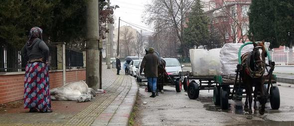 Yürek sızlatan görüntü... Bir anda yığıldı !