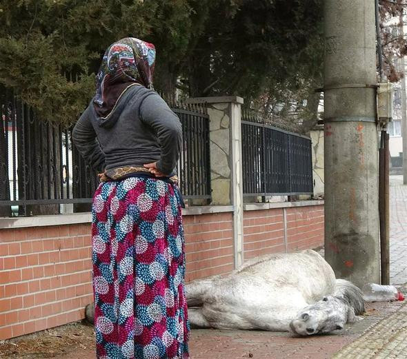 Yürek sızlatan görüntü... Bir anda yığıldı !