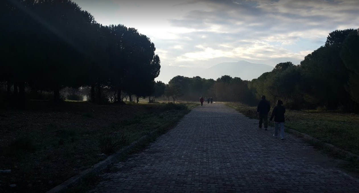 Erdoğan'dan 'Ege Üniversitesi' talimatı!