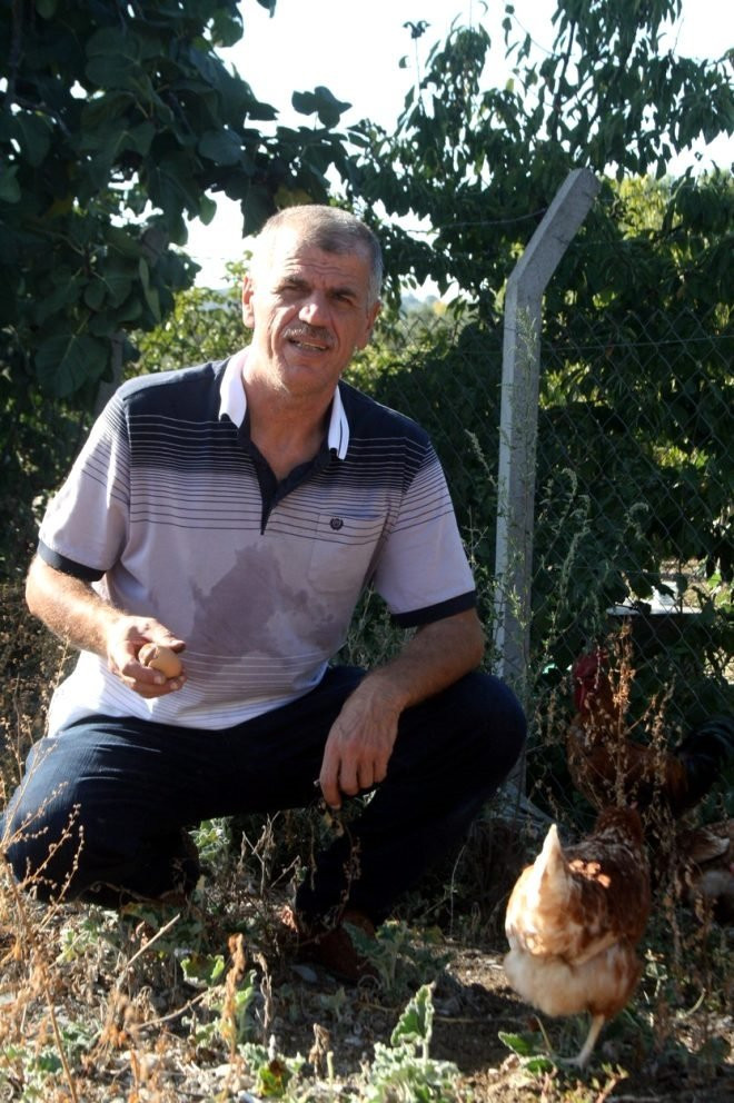 Yumurtanın içinden çıkan şoke etti