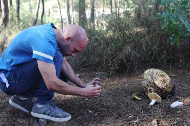 Muğla'da bir ''dev'' bulundu!