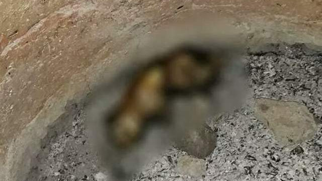 Bu vahşetin sorumlularını bulun!
