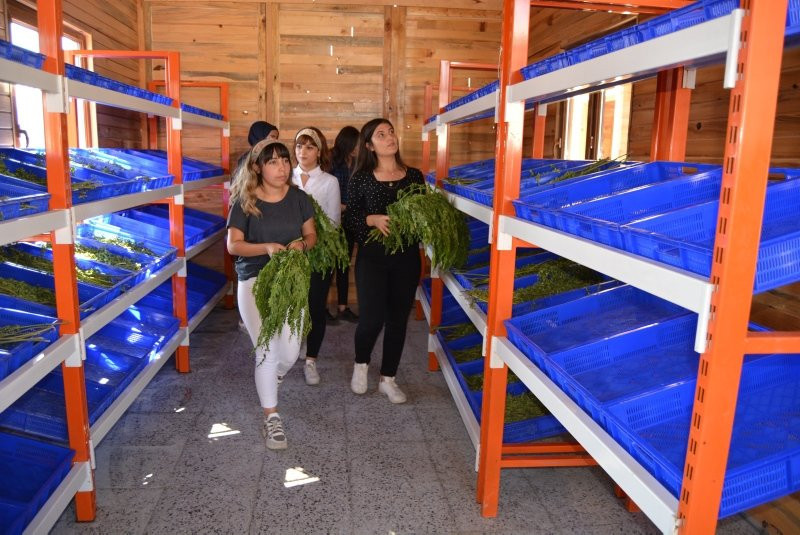 300'den fazla hastalığa iyi geliyor