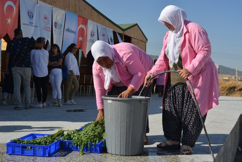 300'den fazla hastalığa iyi geliyor