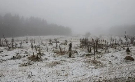 Bolu'ya mevsimin ilk karı düştü
