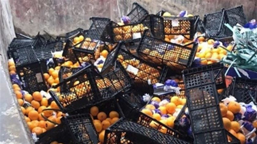 Rusya’ya gönderilen 21 ton mandalina imha edildi