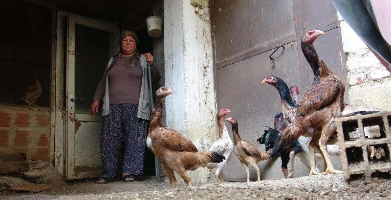 Hobi olarak yapmaya başladılar! Şimdi 50 tanesini bin liraya satıyorlar
