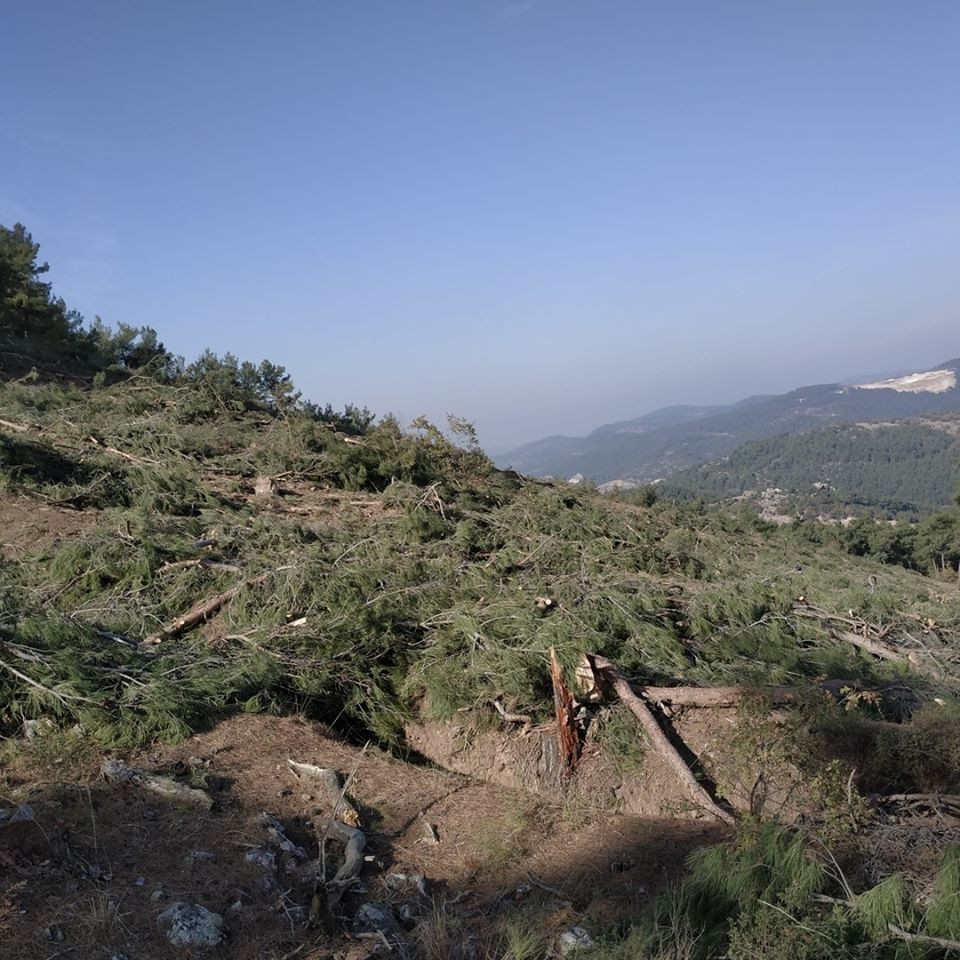 Kazdağları’nda yeni katliam, yeniden katliam!