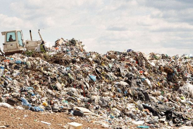 İş adamı 70 bin dolarını belediye çöplüğünde buldu