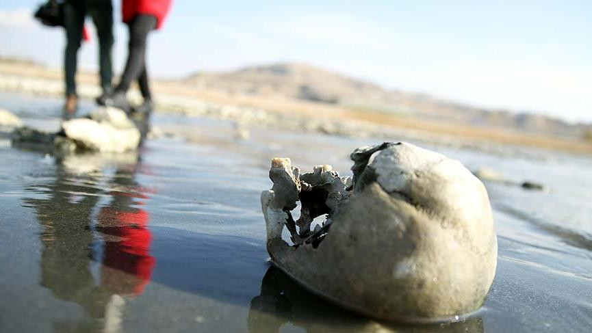 Van Gölü sahilinde insan kafatası ve kemikleri bulundu