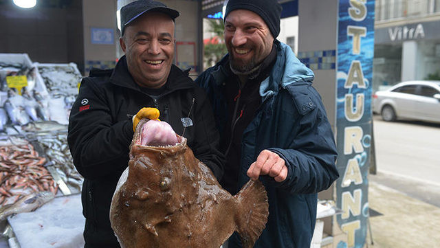 Karadeniz'de denizden bir dev çıktı