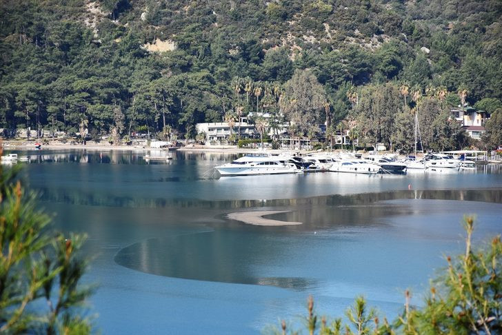 O ilçemizde deprem paniği ! Deniz 5 metre çekildi