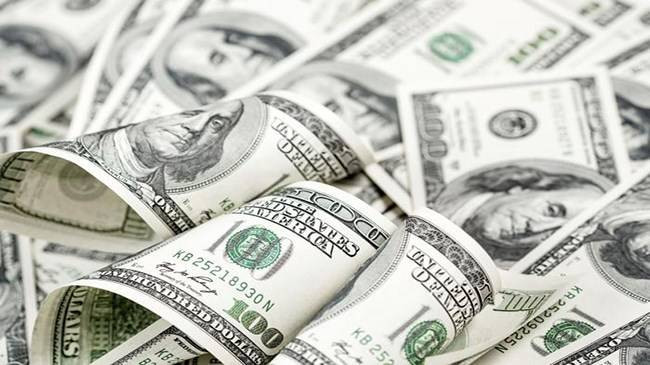 Dolar/TL yeniden kritik seviyeyi aştı !