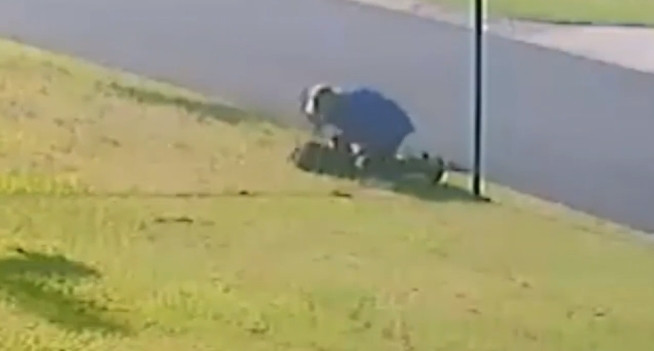 Sokak köpeğini öldüresiye dövdü ! Şoke eden anlar kamerada...