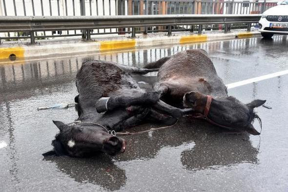 Yol kenarında yürek burkan görüntü