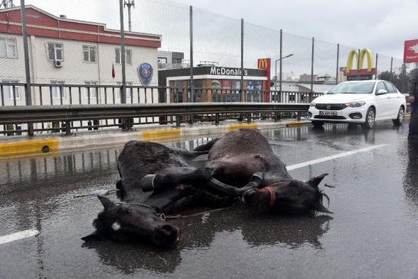 Yol kenarında yürek burkan görüntü