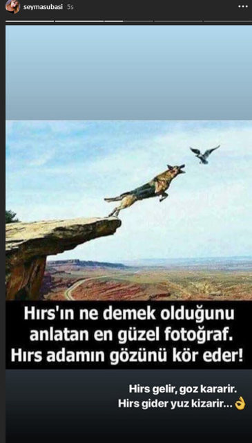 Şeyma Subaşı'dan Acun Ilıcalı'ya olay gönderme