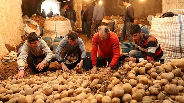 Patates üreticilerinden ''sıfır gümrük'' tepkisi