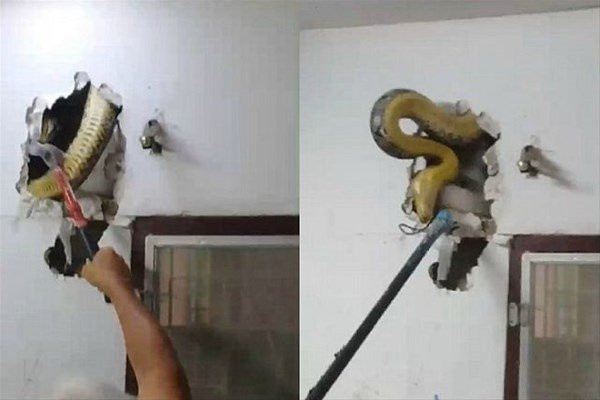 Gördükleri karşısında şoke oldu