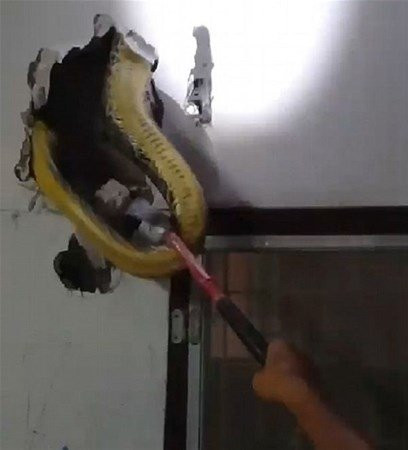Gördükleri karşısında şoke oldu