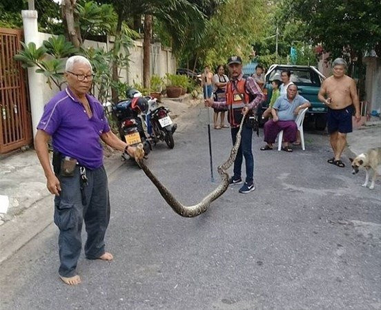 Gördükleri karşısında şoke oldu