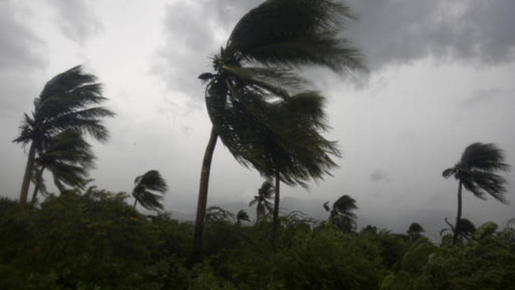 Tropikal fırtına can aldı: 126 kişi ölü