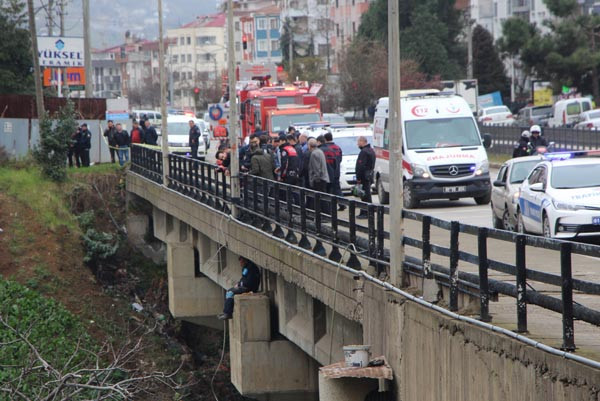 Herkes oraya nasıl çıktığını merak etti !