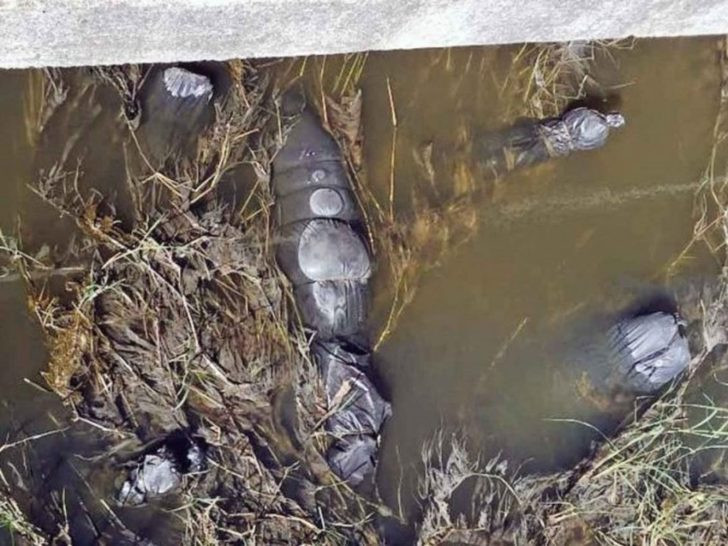 Kanalizasyonda dehşet! 19 ceset bulundu