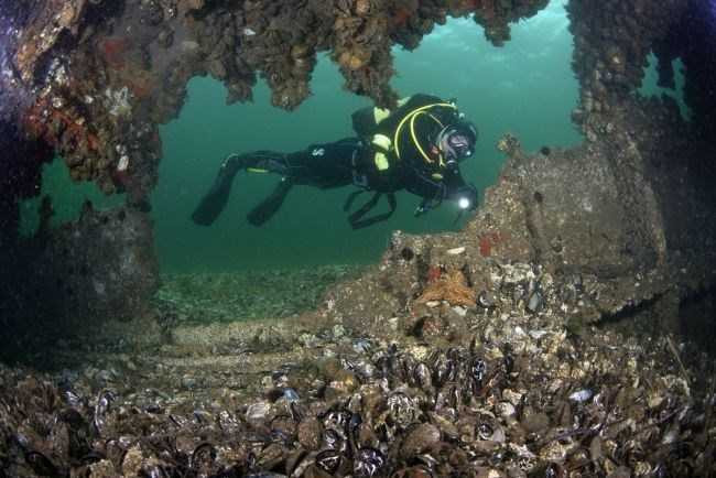 Çanakkale Boğazı'nın batık gemileri dalış turizmine kazandırılıyo